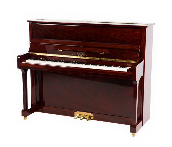 sla lengte In zicht Digital Classic piano - digitale piano kopen